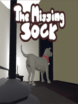 The Missing Sock