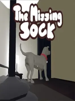 The Missing Sock