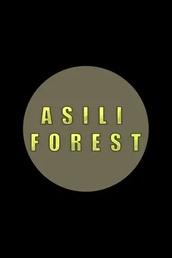 Portada de Asili Forest