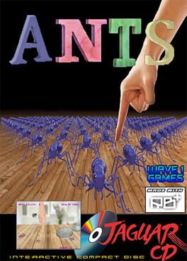 ants--2