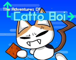 The Adventures of Catto Boi