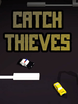 Catch Thieves