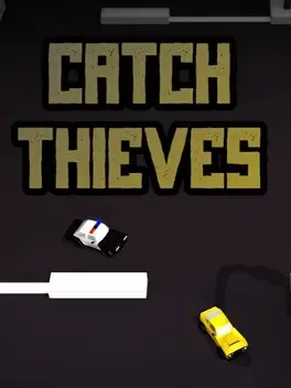 Catch Thieves