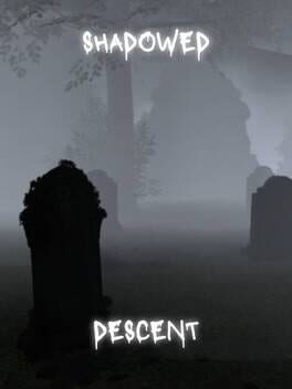 Shadowed Descent游戏资源下载