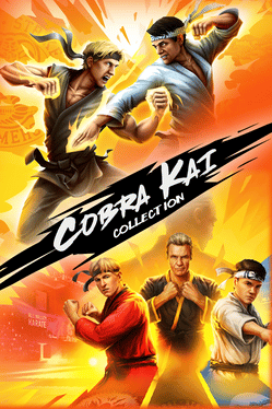 Cobra Kai Collection