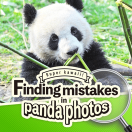 Super Kawaii! Finding Mistakes in Panda Photos Cover