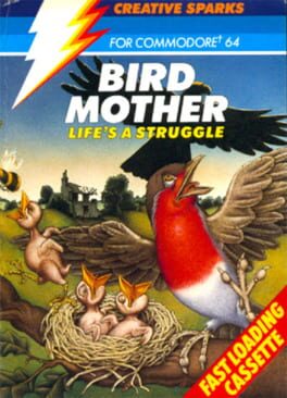 Bird Mother