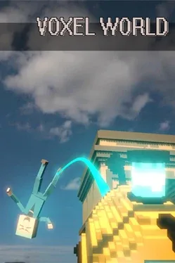 Voxel World