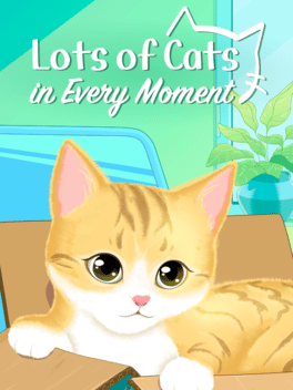 Lots of Cats in Every Moment