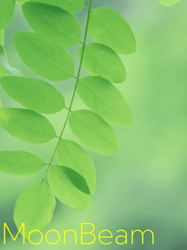 MoonBeam
