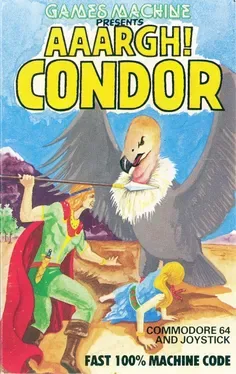 Aaargh! Condor image