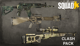 Squad: Weapon Skins - Clash Pack