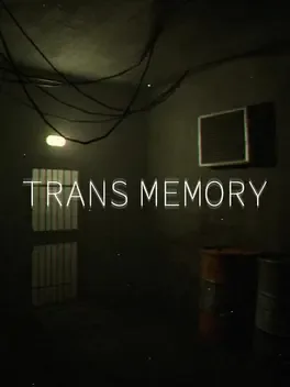 TransMemory