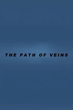 The Path of Veins