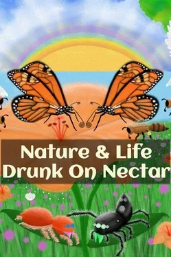 Drunk on Nectar