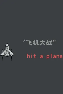 Hit A Plane