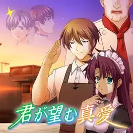 Kimi ga Nozomu Muv-Luv image