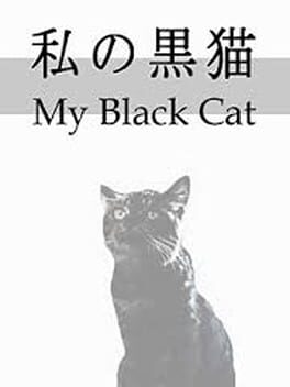 My Black Cat