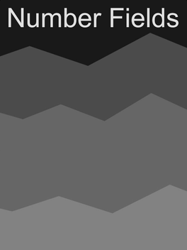 Number Fields