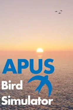APUS: Bird Simulator