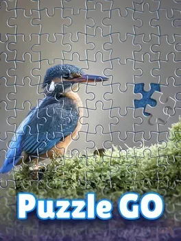 Puzzle Go