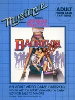Bachelor Party image