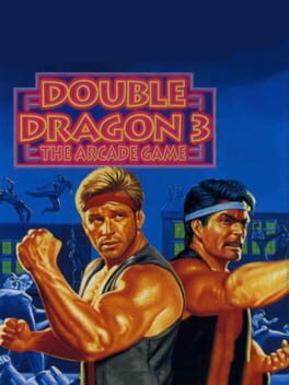 Double Dragon 3: The Arcade Game