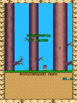 Cornucopia of Kaizo
