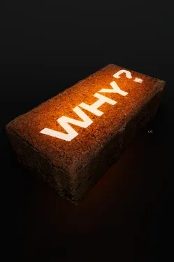 Portada de Why?