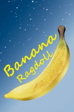 Banana Ragdoll