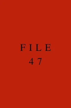 Portada de File 47