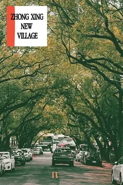 Portada de ZHONG XING NEW VILLAGE
