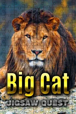 Portada de Big Cat Jigsaw Quest