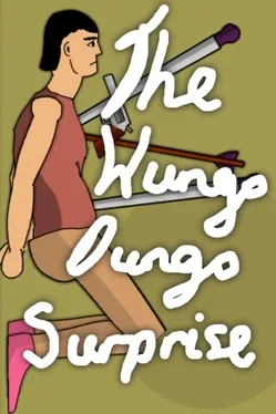 Portada de The Wungo Dungo Surprise