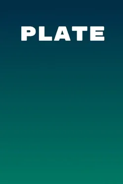 Portada de PLATE
