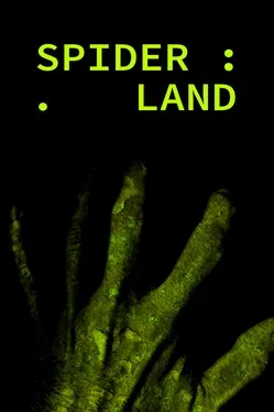 Spider Land