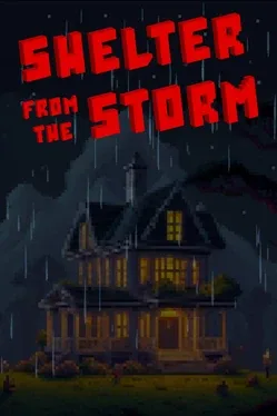 Portada de Shelter from the Storm
