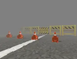 A Long Walk Home