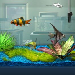 FishCo