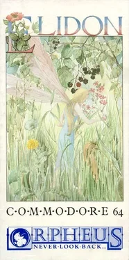 Elidon image
