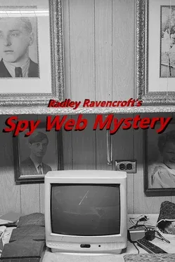Portada de Radley Ravencroft's Spy Web Mystery