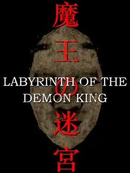 Game cover for Labyrinth of the Demon King