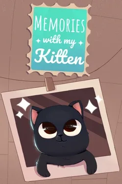Memories With My Kitten
