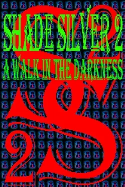 Portada de Shade Silver 2 A Walk In The Darkness