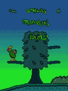 The Artifacts of Marvelous Birds