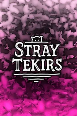 Portada de Stray Tekirs