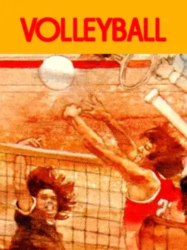 Volleyball image