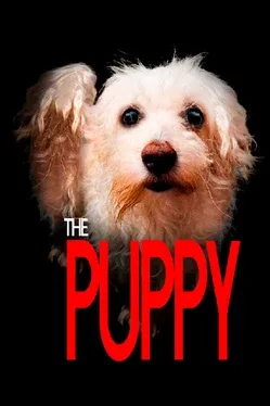 The Puppy