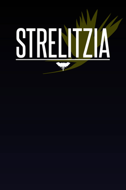 Strelitzia