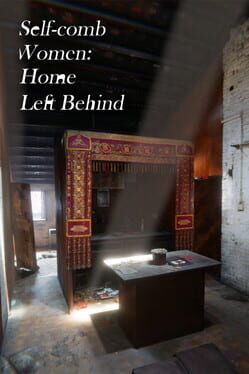 Self-Comb Women: Home Left Behind game cover